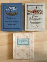 3 Antiquität Buch Bilder Nagler Lenz Stadtmauer Dorfheimat Dresden - Neustadt Vorschau