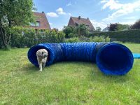 Callieway Agility Tunnel + weitere Agility-Geräte, Komplettpaket Nordrhein-Westfalen - Sendenhorst Vorschau