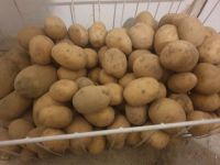 Kartoffeln Niedersachsen - Uelzen Vorschau