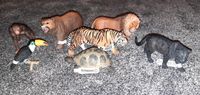 Schleich NEU Schildkröte Panther Tiger Tukan Affe Bär Löwe Schleswig-Holstein - Wallsbüll Vorschau