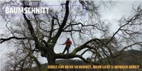 Baumpflege Obstbaumpflege Baum fällen Baumschnitt Hessen - Gießen Vorschau