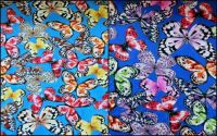 12 € / m Jerseystoffe Stoffpaket Jersey Schmetterlinge Farbwahl Niedersachsen - Harpstedt Vorschau