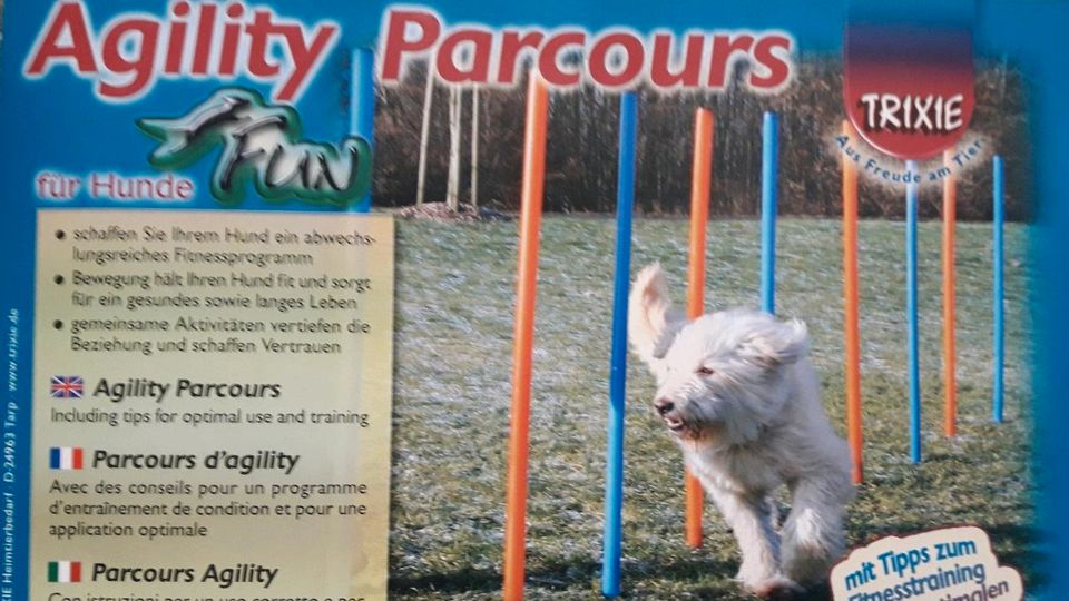 Agility Hundesport set in Eslarn