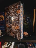 Salt Kiss Bookish Box Fairyloot Illumicrate Wuppertal - Vohwinkel Vorschau