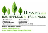 Baumpflege Baumfällung Gartenarbeit Grundstückspflege Saarland - Oberthal Vorschau