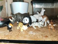 Verkaufe verschiedene Schleich Figuren/Tiere Borsdorf - Panitzsch Vorschau