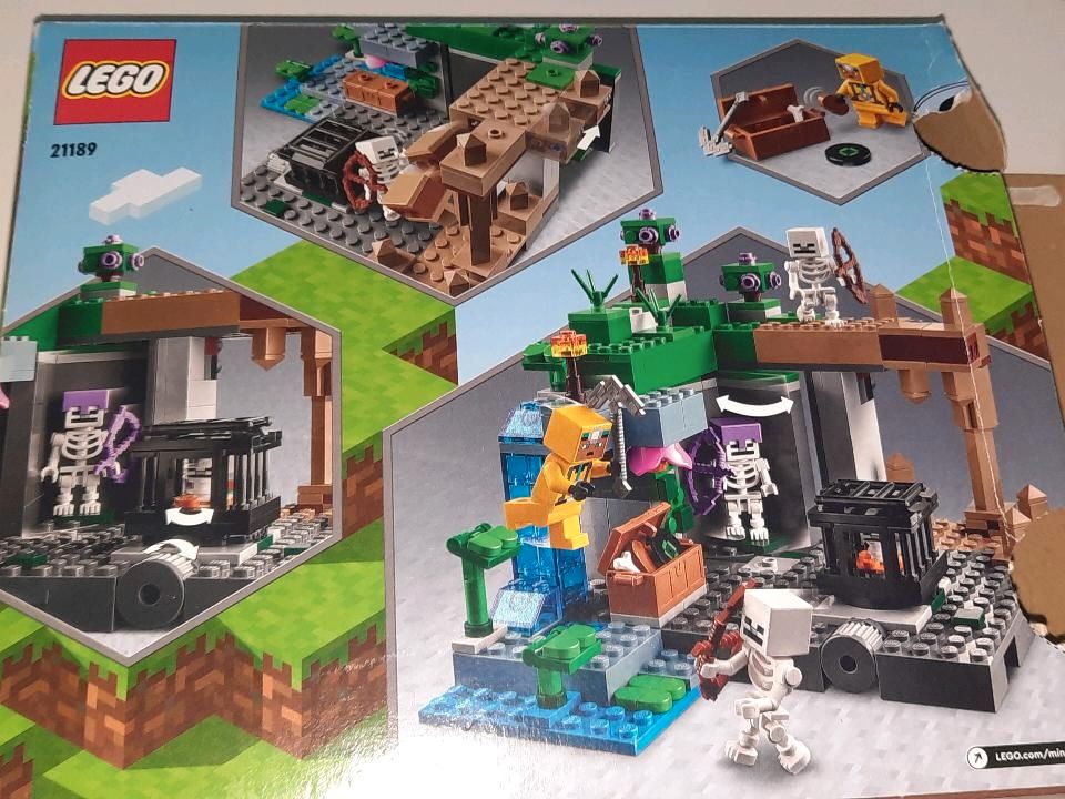 Lego Minecraft 21189, Lego, in Schiltberg