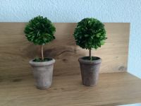 2 neue Dekobäume aus echten Buchsbaumblättern im Übertopf NP 50€ Stuttgart - Stuttgart-Süd Vorschau