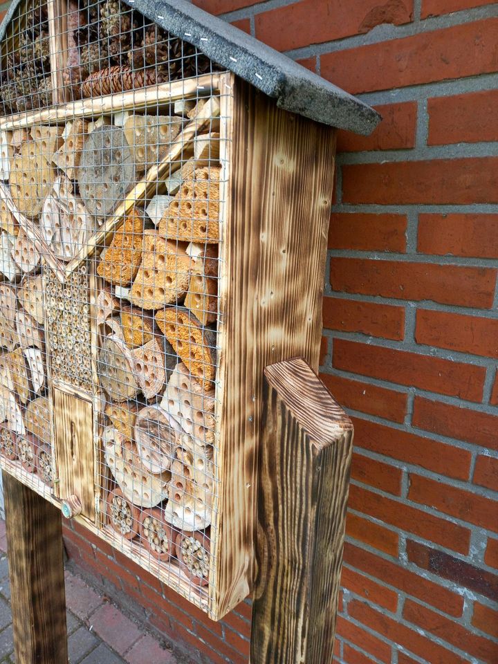 Bienenhotel Insektenhotel in Westerstede