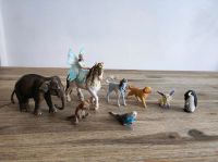 Schleich Elefant Hund Bayala Misamee Löwenbaby Wellensittich Bayern - Augsburg Vorschau