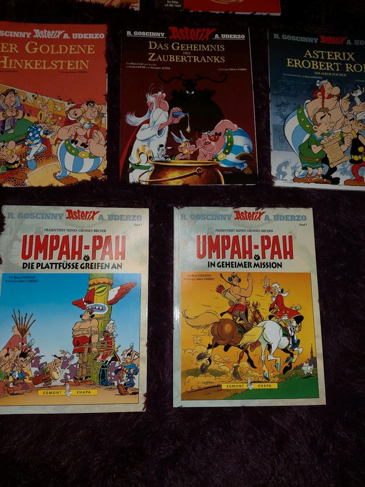 Asterix und Obelix Comics Sonderausgaben in Wegberg