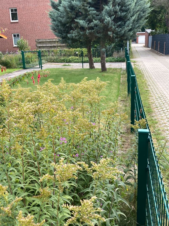 Doppelhaushälfte in Leer,Stadtmitte in Leer (Ostfriesland)