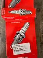 Original Honda 31909-MJP-G51 Silmar8A9S Zündkerze Spark Plugs NEU Niedersachsen - Cloppenburg Vorschau