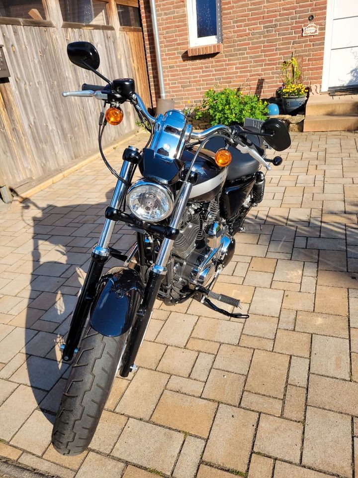 Harley-Davidson Sportster XL 1200 Custom in Mittweida