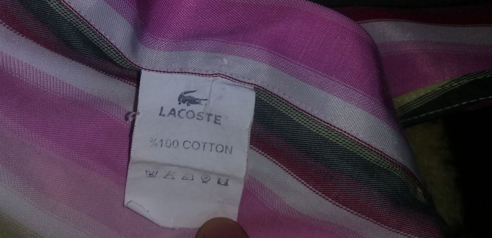 ⫸ LACOSTE ® ⫷ Business Hemd CLASSIC Multicolor BUTTON DOWN 41 M-L in Hannover