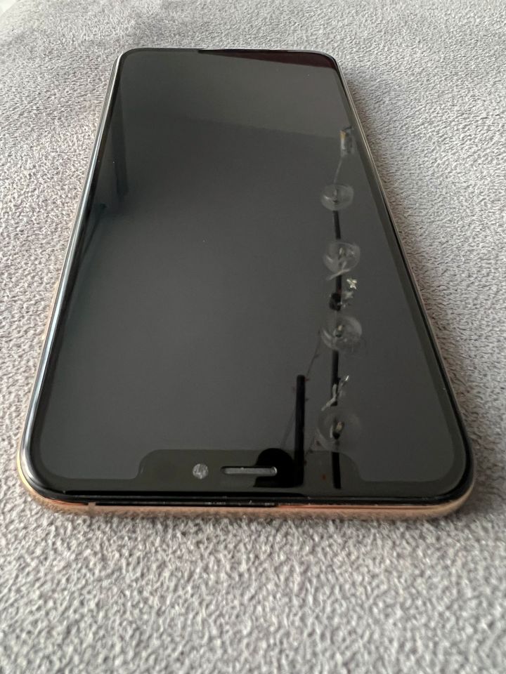 iPhone XS Max 64 GB in Roth