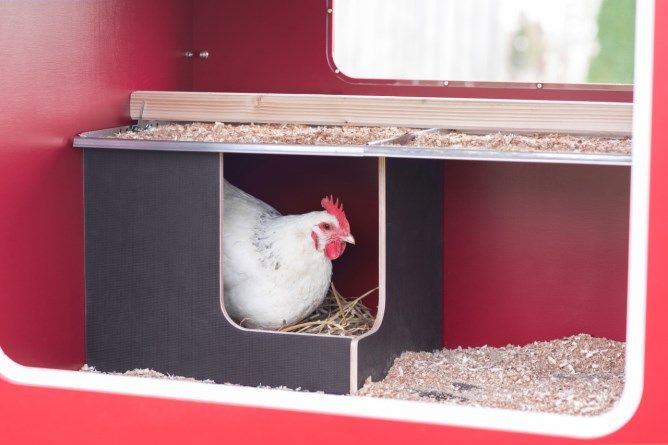 Mobile Coop aus Holz mobiler Hühnerstall Profi Stall für Hühner in Neumünster