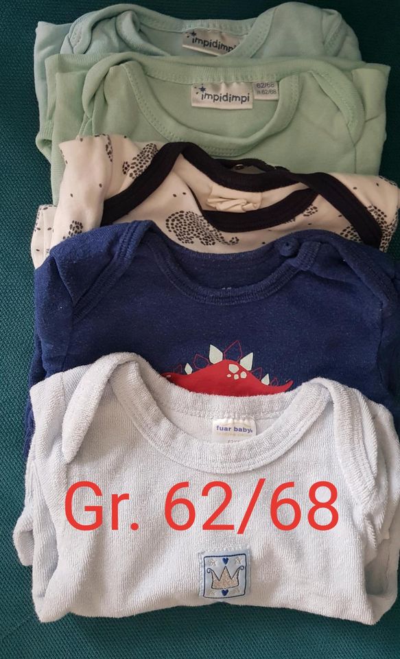 Langarm Bodys Gr.62/68 zusammen 4€ in Dudenhofen