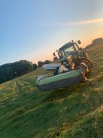 Gras mähen 1. Schnitt Heu Silage Nordrhein-Westfalen - Hille Vorschau