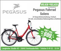 Pegasus Solero SL Trekkingrad rot Damen 24 Gang mit Freilauf Niedersachsen - Ostrhauderfehn Vorschau