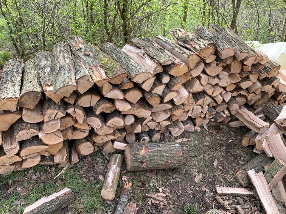 Brennholz Feuerholz Buche Eiche Esche Ofen Kamin Vergaser in Becherbach