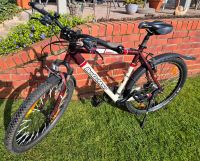 Mountainbike Bergamont 26" guter Zustand Niedersachsen - Bispingen Vorschau