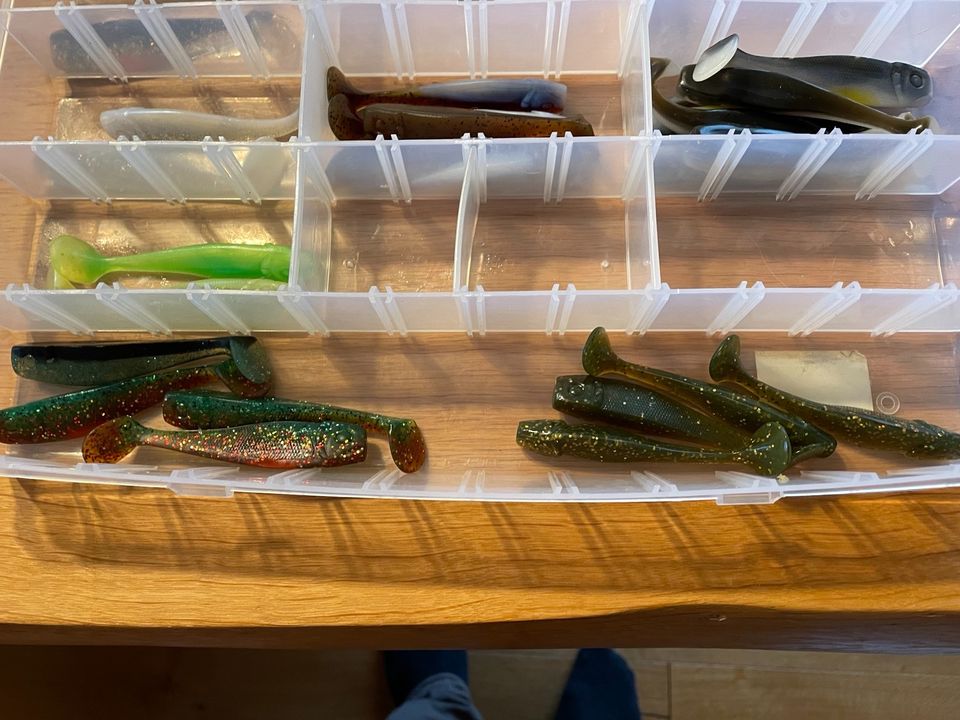 Gummifisch Sammlung incl. Box | Spro Dull Shad in Gunzenhausen