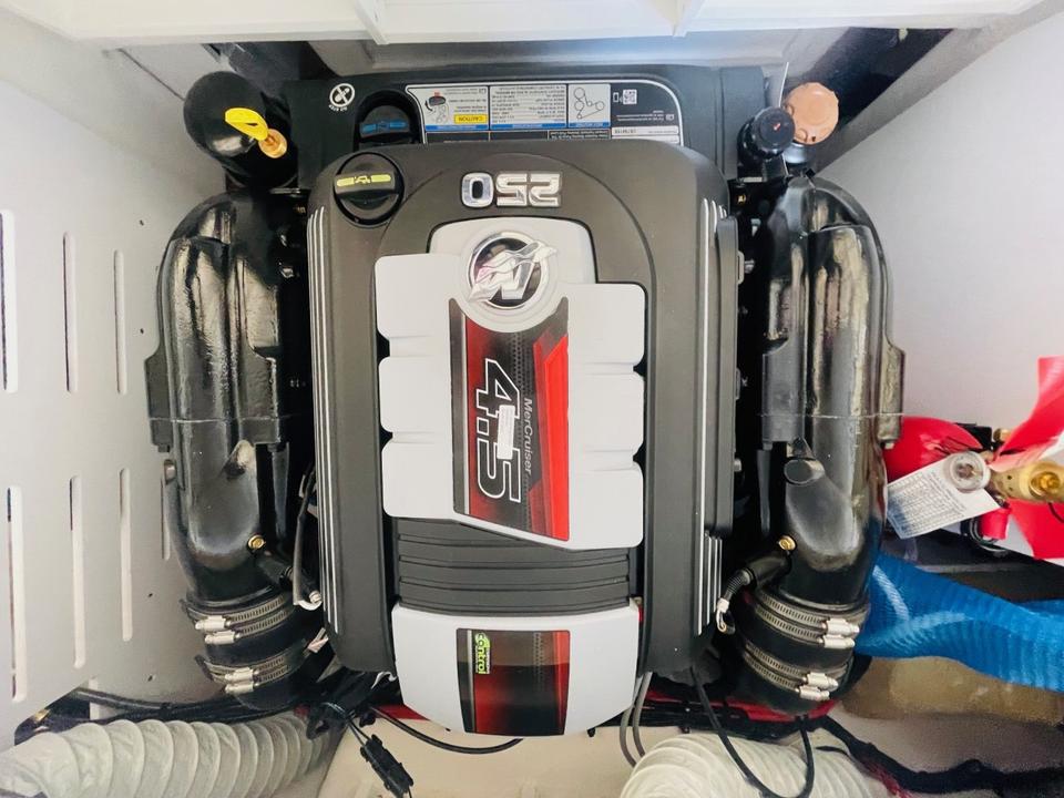 ✅Sea Ray 190 SPX V6 Mercury 250PS ✅ 2025 ✅SOFORT✅Inzahlungnahme m in Berlin