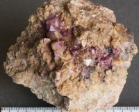 Mineralien: Fluorit von Stulln Grube Ernst August Rev. Wölsendorf Nürnberg (Mittelfr) - Nordstadt Vorschau