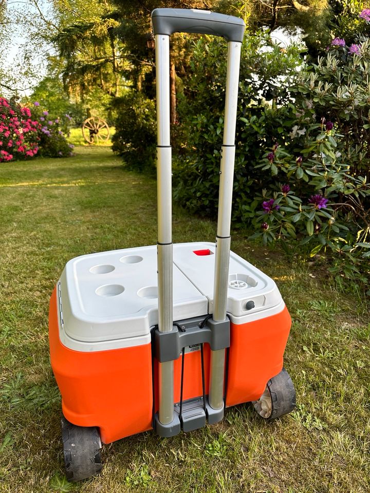 Stylische XL Kühlbox Coolest Cooler Trolley Ausflug in Rees