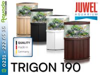 Juwel TRIGON 190 Eck-Aquarium LED+SBX Unterschrank versch. Dekore Dortmund - Hombruch Vorschau