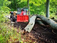 Wir bieten Ihnen Landschaftspflege und Forstdienstleistungen an Thüringen - Suhl Vorschau