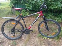 Mountainbike Haibike Springs, Alurahmen, 26 Zoll, 24-Gang-Shimano Baden-Württemberg - Pliezhausen Vorschau