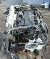 NISSAN NAVARA YS23DDT YS23 NP300 2,3 DCI MOTOR KOMPLETT Nordrhein-Westfalen - Leverkusen Vorschau