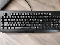 Razer BlackWidow 2014  Tastatur Essen - Steele Vorschau