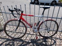 Rennrad Dynamics Campagnolo Rheinland-Pfalz - Sinzig Vorschau