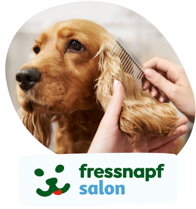 Hundesalon Hundefriseur Tierfriseur  Groomer Fressnapf Salon in Gelsenkirchen