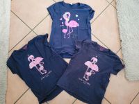 3 x Review Flamingo T-Shirt 140 146 Shirt Nordrhein-Westfalen - Paderborn Vorschau