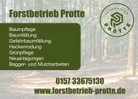 Baumpflege | Gefahrbaumfällung | Grünpflege | Baggerarbeiten Niedersachsen - Marl Vorschau