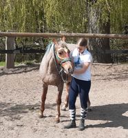 Persönlichkeitsentwicklung mit Pferd für Kinder Herzogtum Lauenburg - Berkenthin Vorschau