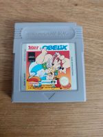 Asterix und Obelix Game Boy Hessen - Hanau Vorschau