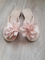 Flip Flop,Blume,pastell,creme,neu,36 Brandenburg - Zeuthen Vorschau