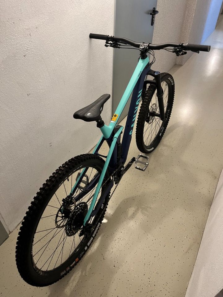 Canyon MTB Strive CF 6.0 L in Worms