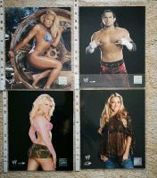 WWE Autogrammfotos Photofile Fotos Trish Stratus Sachsen-Anhalt - Halberstadt Vorschau