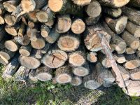 Holz, Weichholz, Brennholz, Meterware Bayern - Effeltrich Vorschau