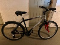 Stevens S2 Comp 26“ MTB, 48cm Rahmen . Alu Bayern - Erlangen Vorschau