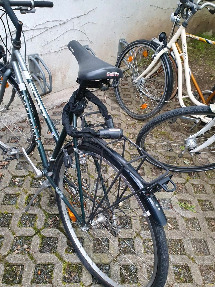 Damen-Fahrrad in Nürnberg (Mittelfr)