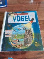 Mein Taschenlampenbuch VÖGEL, NEU OVP Nordrhein-Westfalen - Rheinbach Vorschau