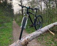 Cube Acid Moutainbike 29 Zoll Baden-Württemberg - Sandhausen Vorschau