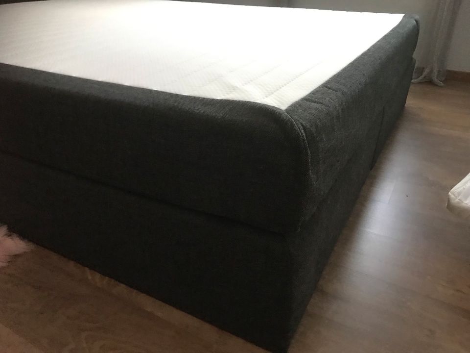 Boxspringbett in Velpke